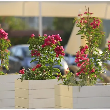 Otel Big Posedion Selimiye Marmaris